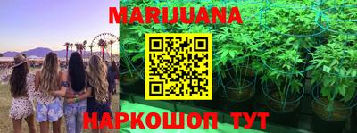 стафф Тверь