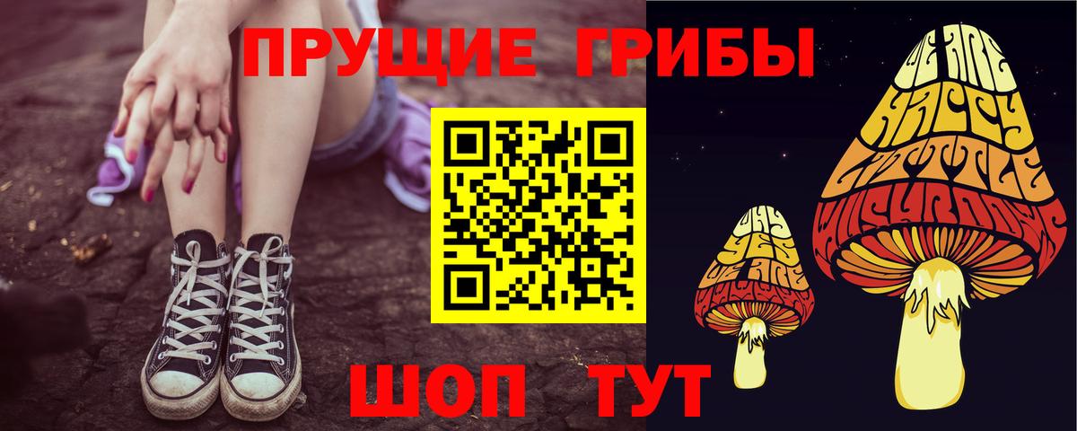 Новошахтинск  Псилоцибиновые грибы ЛСД  Вход с VPN 