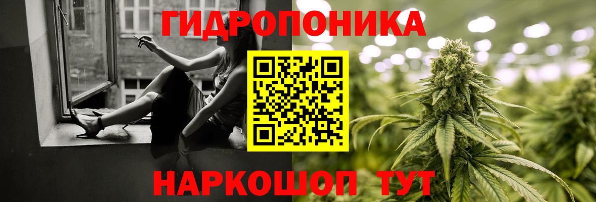 Бошки марихуана Bruce Banner  Вход с VPN  Бошки марихуана LSD WEED  Новошахтинск  Конопля Bruce Banner 